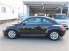 VOLKSWAGEN THE BEETLE