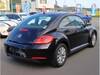 VOLKSWAGEN THE BEETLE