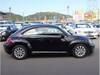 VOLKSWAGEN THE BEETLE
