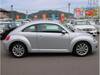 VOLKSWAGEN THE BEETLE