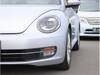 VOLKSWAGEN THE BEETLE