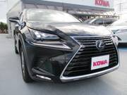 2017 LEXUS NX