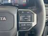 TOYOTA LANDCRUISER 250