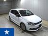 OTHER POLO