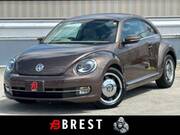 2014 VOLKSWAGEN THE BEETLE
