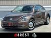 VOLKSWAGEN THE BEETLE