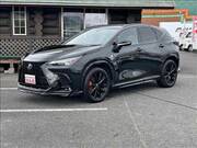 2024 LEXUS NX