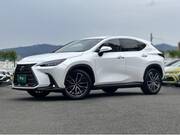 2024 LEXUS NX
