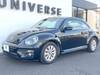 VOLKSWAGEN THE BEETLE