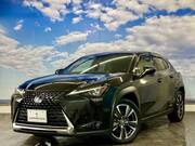 2019 LEXUS UX