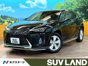 2019 LEXUS UX