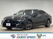 2019 LEXUS ES