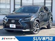 2016 LEXUS NX