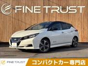 2020 NISSAN LEAF