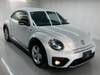 VOLKSWAGEN THE BEETLE