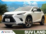 2018 LEXUS NX