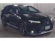 2022 LEXUS NX