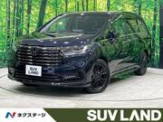 2024 HONDA OTHER