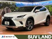 2018 LEXUS NX