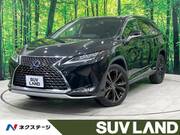 2020 LEXUS RX