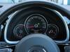 VOLKSWAGEN THE BEETLE