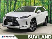 2019 LEXUS RX