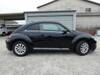 VOLKSWAGEN THE BEETLE