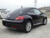 VOLKSWAGEN THE BEETLE