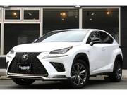 2019 LEXUS NX