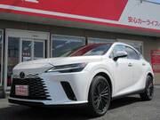 2024 LEXUS RX