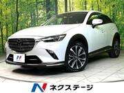 2019 MAZDA CX-3