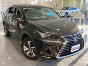 2019 LEXUS NX