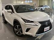 2020 LEXUS NX