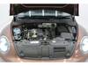 VOLKSWAGEN THE BEETLE