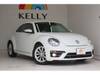 VOLKSWAGEN THE BEETLE