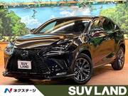 2020 LEXUS NX