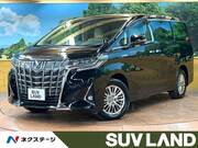 2019 TOYOTA ALPHARD HYBRID