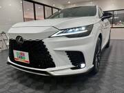 2024 LEXUS RX