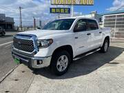 2018 OTHER OTHER (Left Hand Drive)