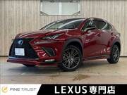2017 LEXUS NX