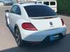 VOLKSWAGEN THE BEETLE