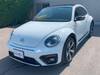 VOLKSWAGEN THE BEETLE