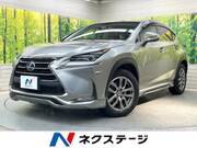 2014 LEXUS NX