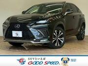 2018 LEXUS NX