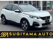 2019 PEUGEOT 3008