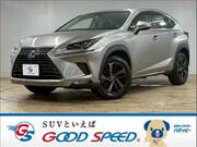 2018 LEXUS NX
