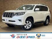 2019 TOYOTA LAND CRUISER PRADO TX
