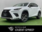 2020 LEXUS NX