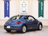 VOLKSWAGEN THE BEETLE