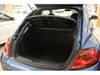 VOLKSWAGEN THE BEETLE